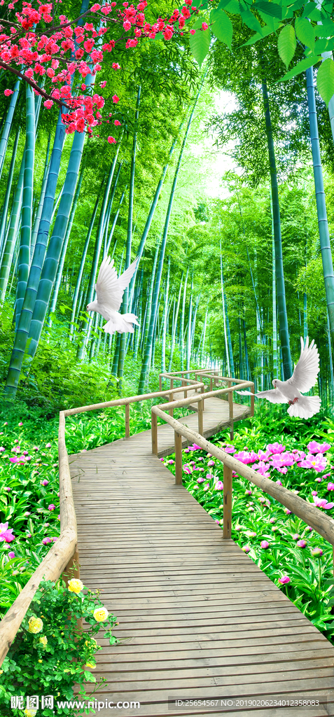 玄关竹林风景