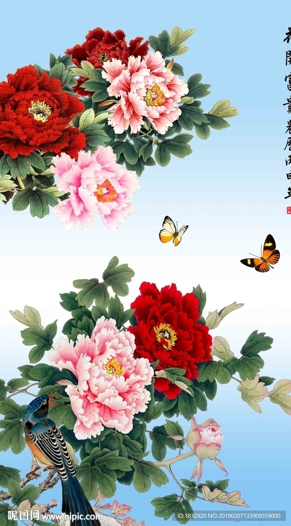 牡丹