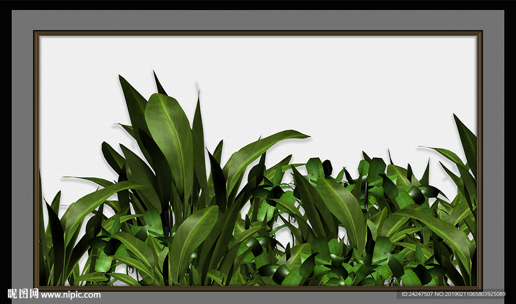 热带植物装饰画