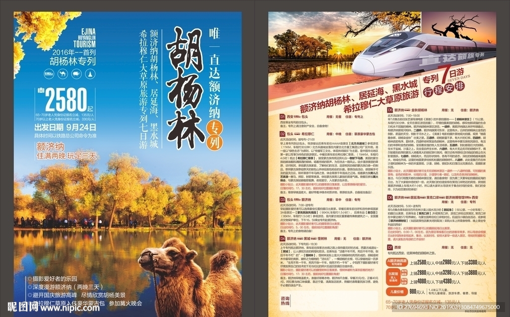 胡杨林彩页