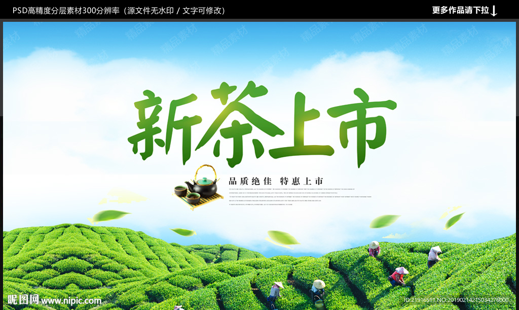 新茶上市