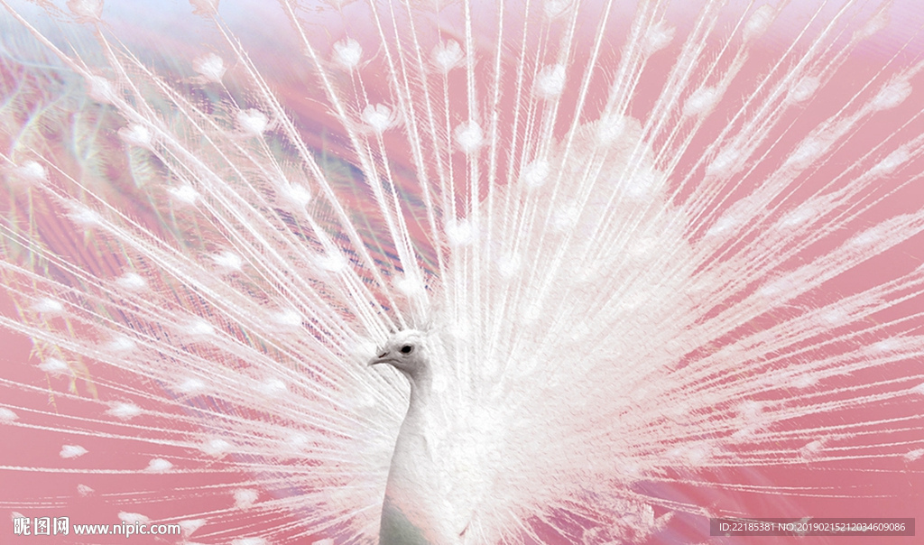 油画白色孔雀开屏粉色调背景墙