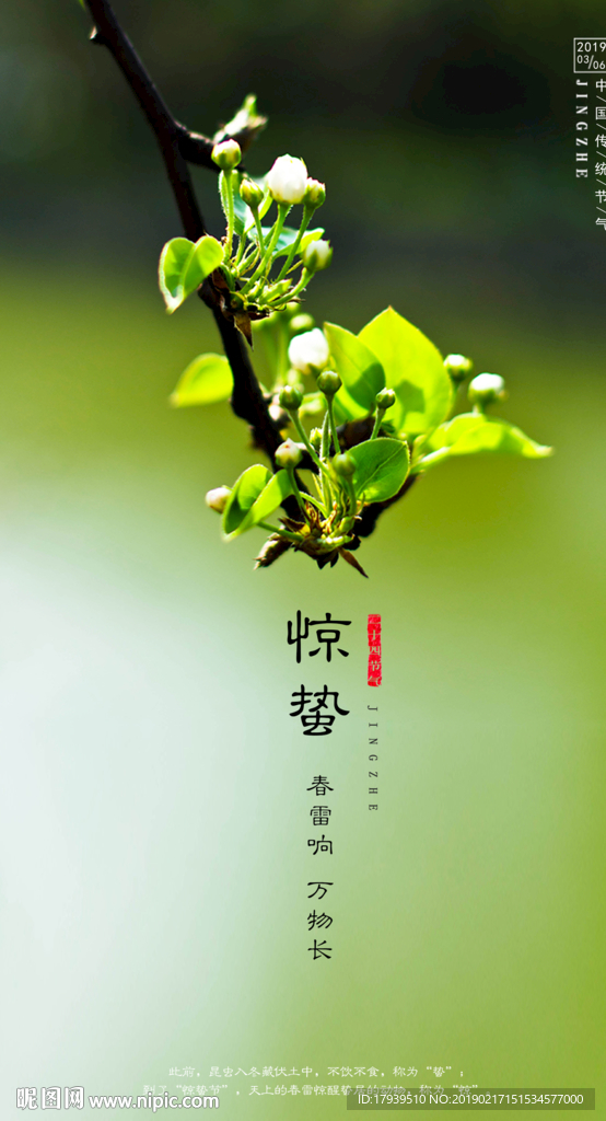 惊蛰
