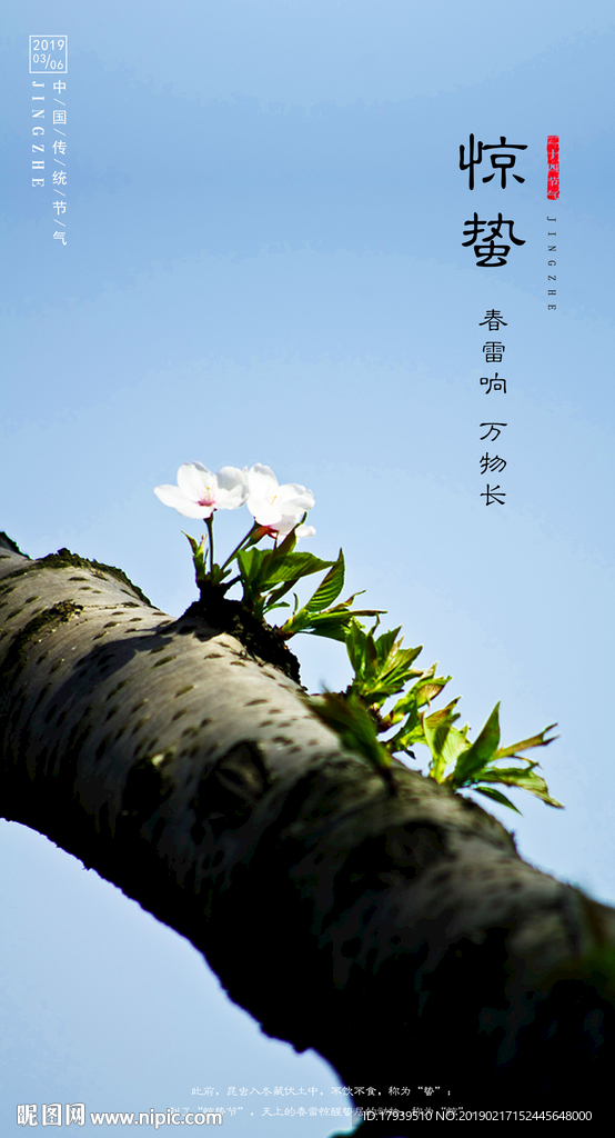 惊蛰
