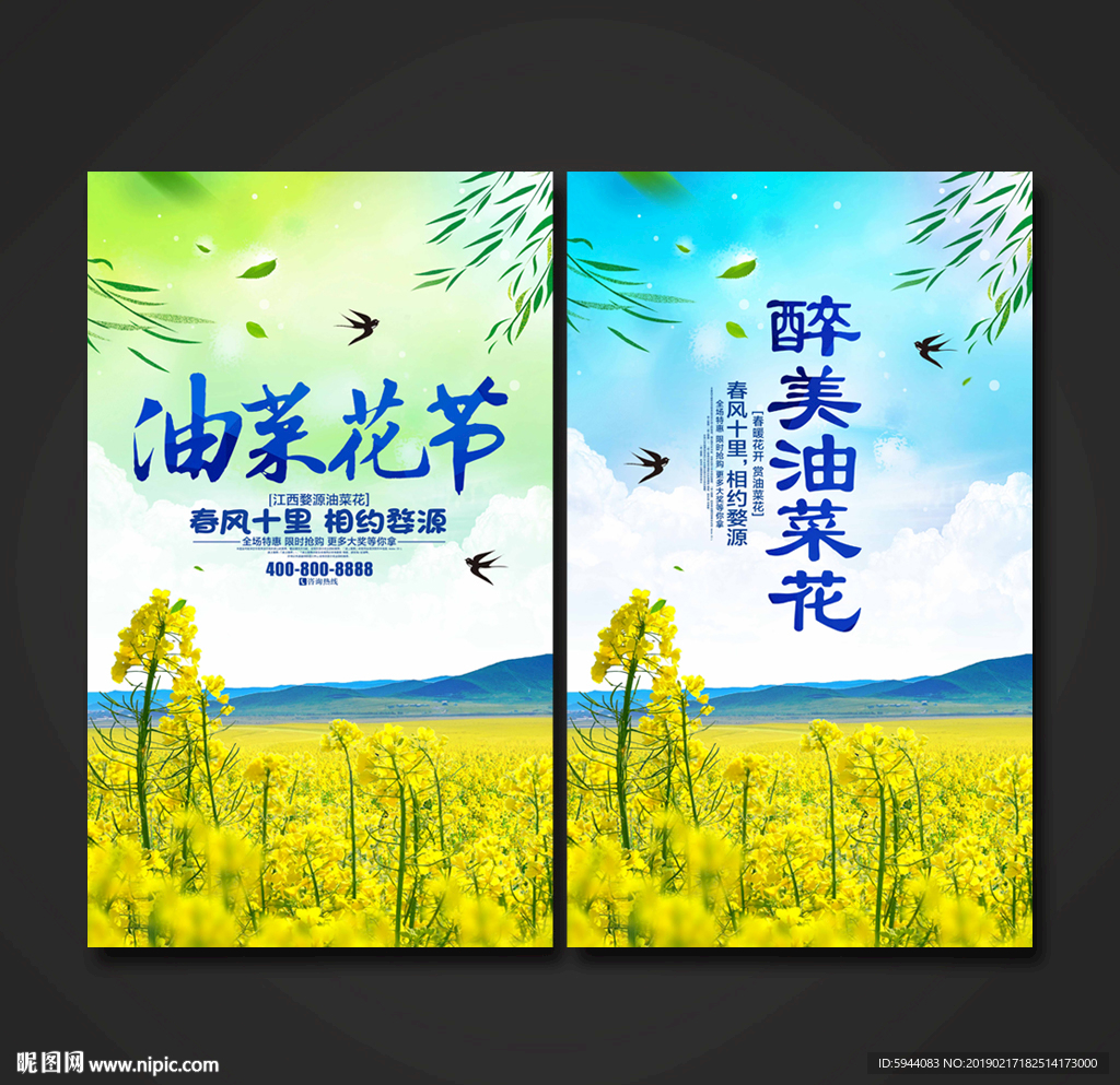 油菜花
