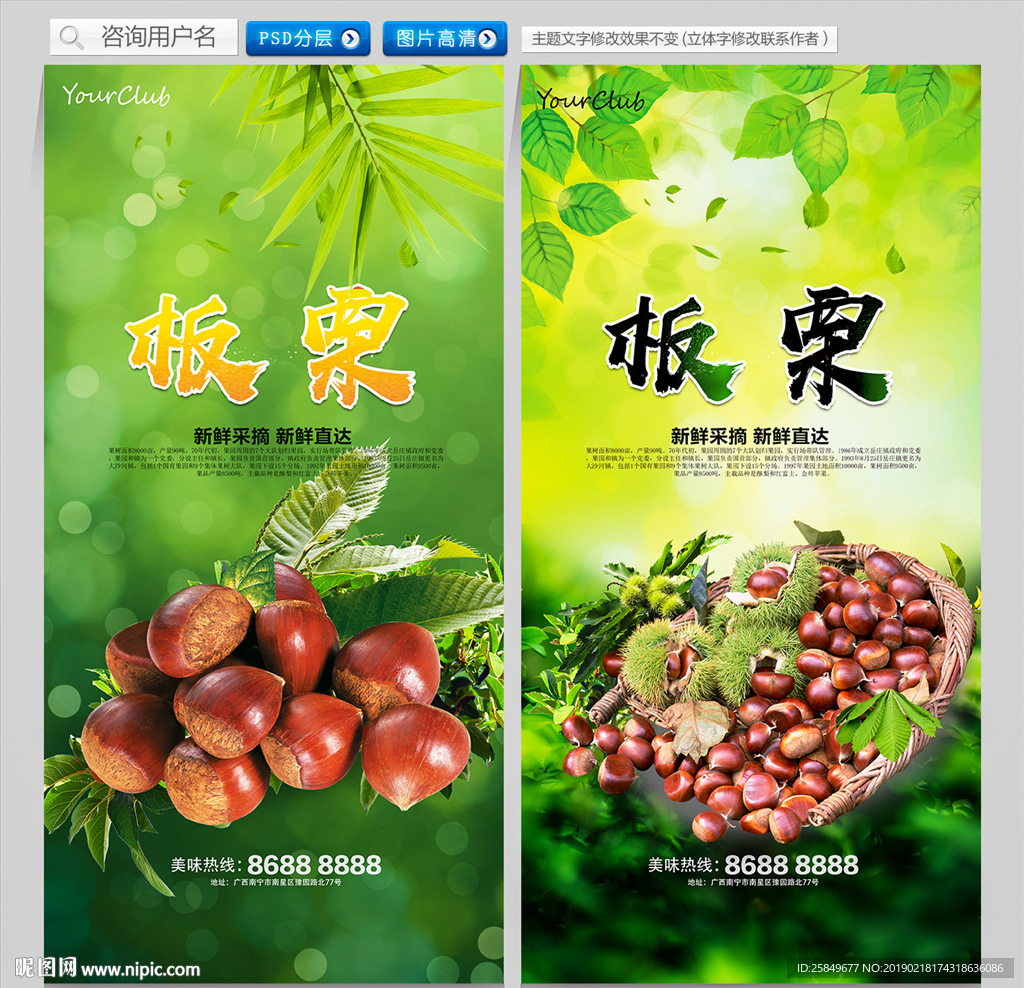 板栗