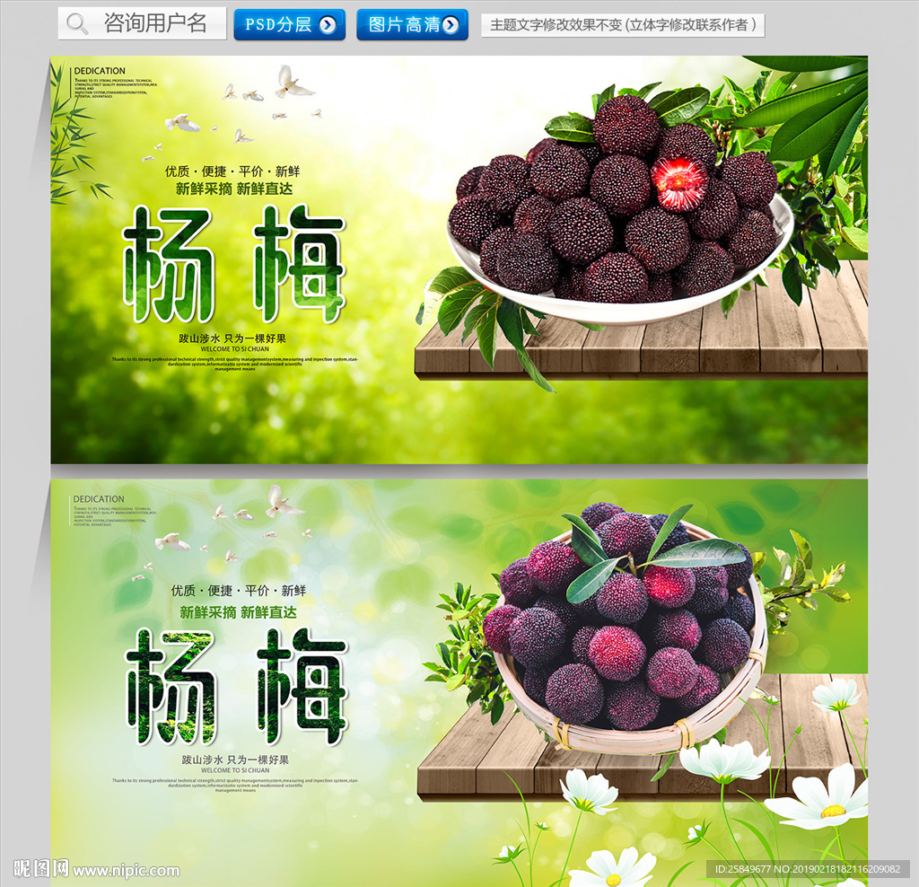 杨梅