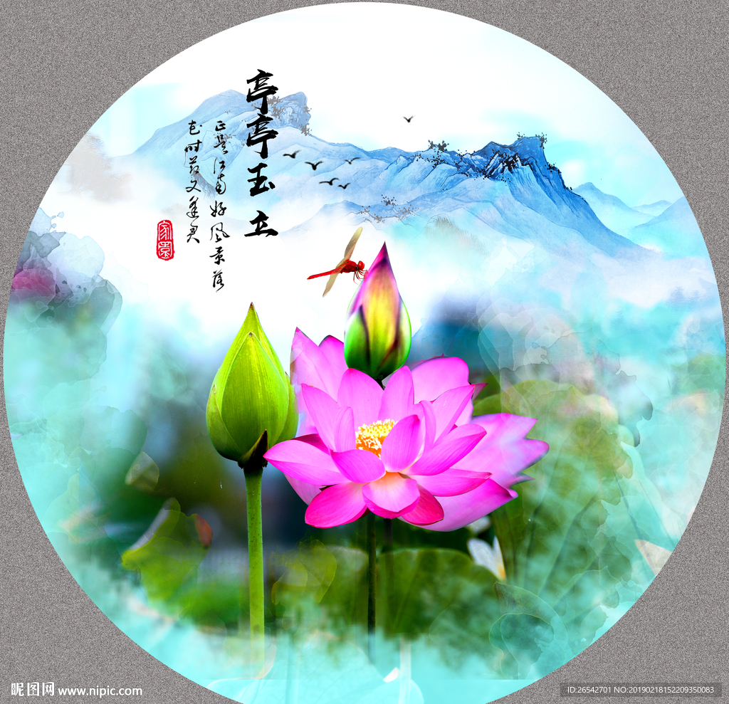 荷花