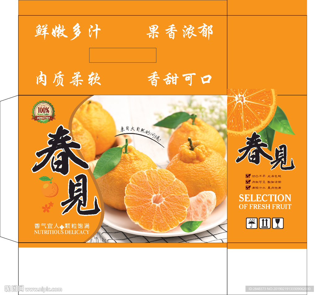 春见手提箱平面图