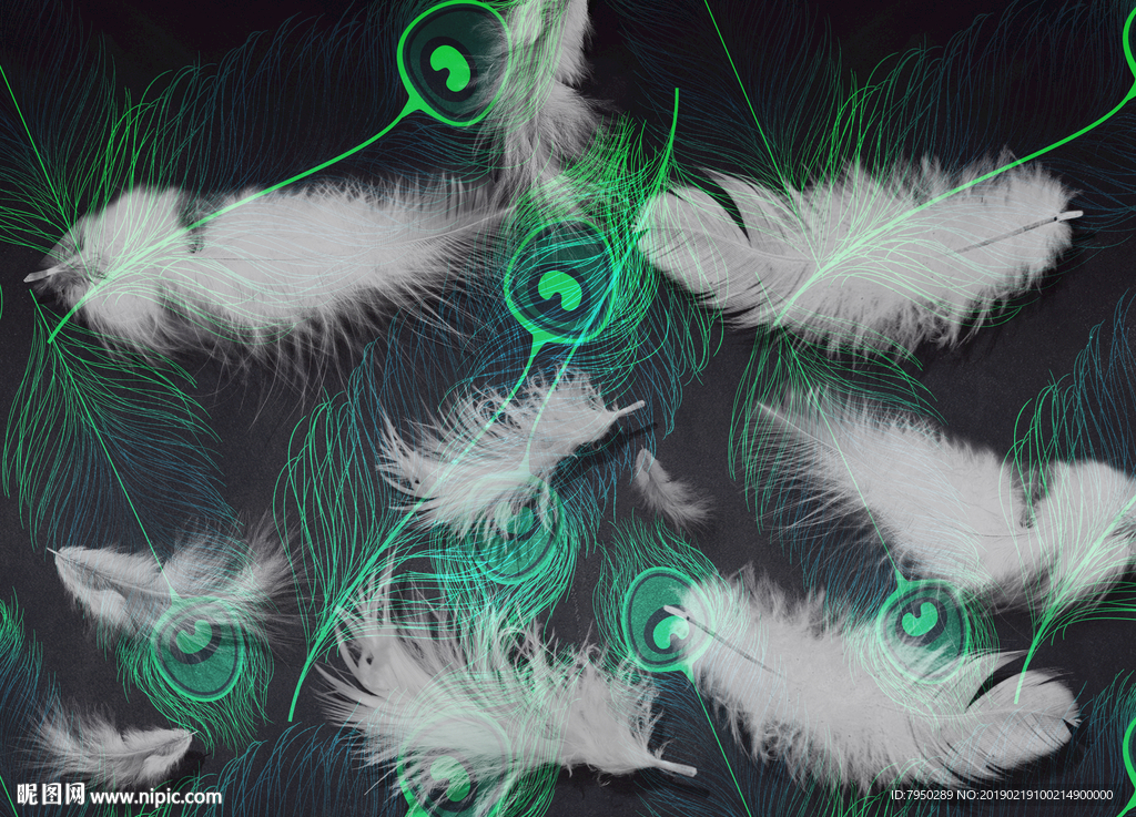 现代简约羽毛背景墙