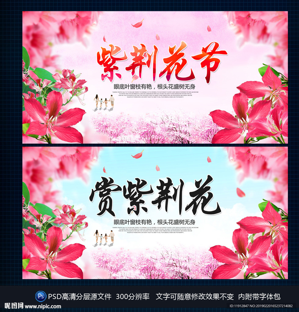 紫荆花