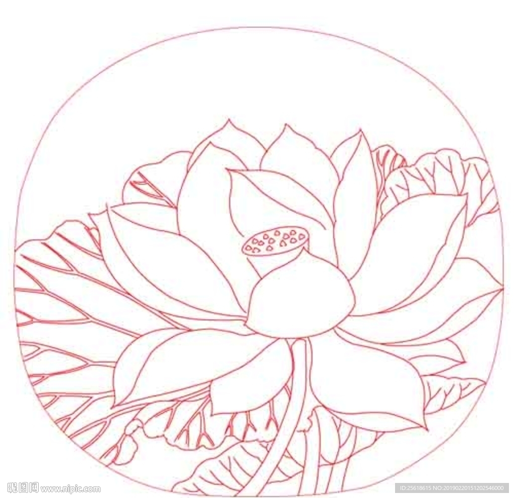 出水芙蓉图线描白描矢量