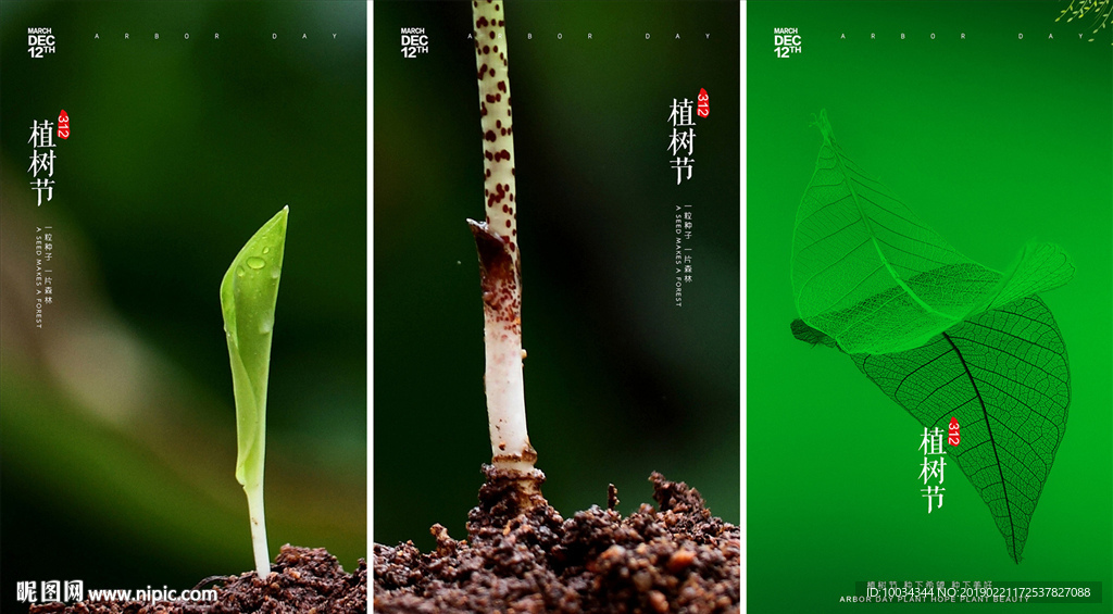 植树节