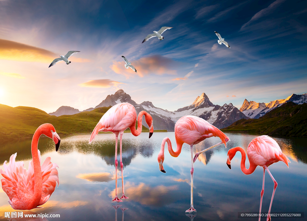 现代火烈鸟背景墙装饰