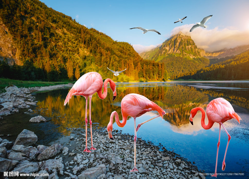 现代火烈鸟背景墙装饰