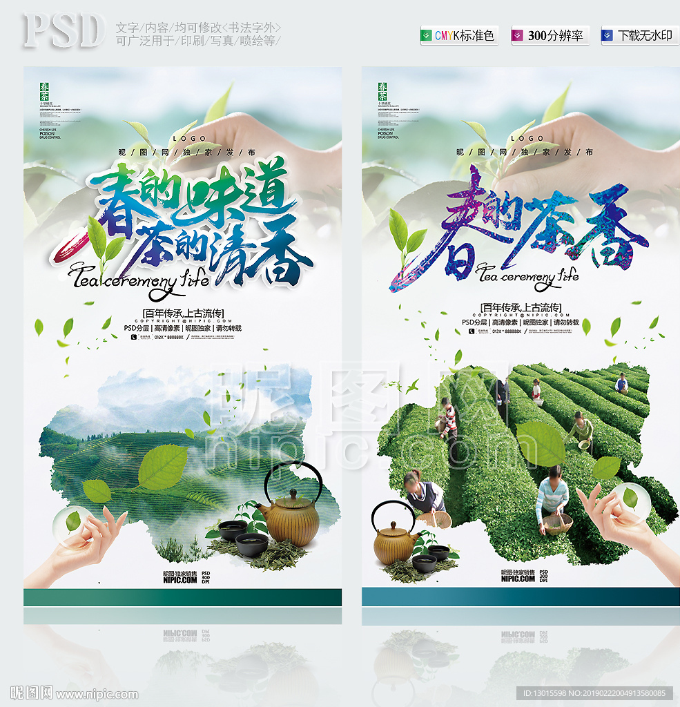 新茶上市