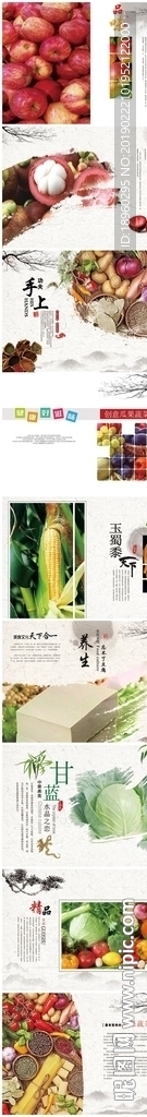中国风创意营养瓜果蔬菜精品画册