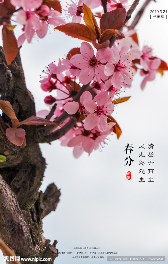 春分