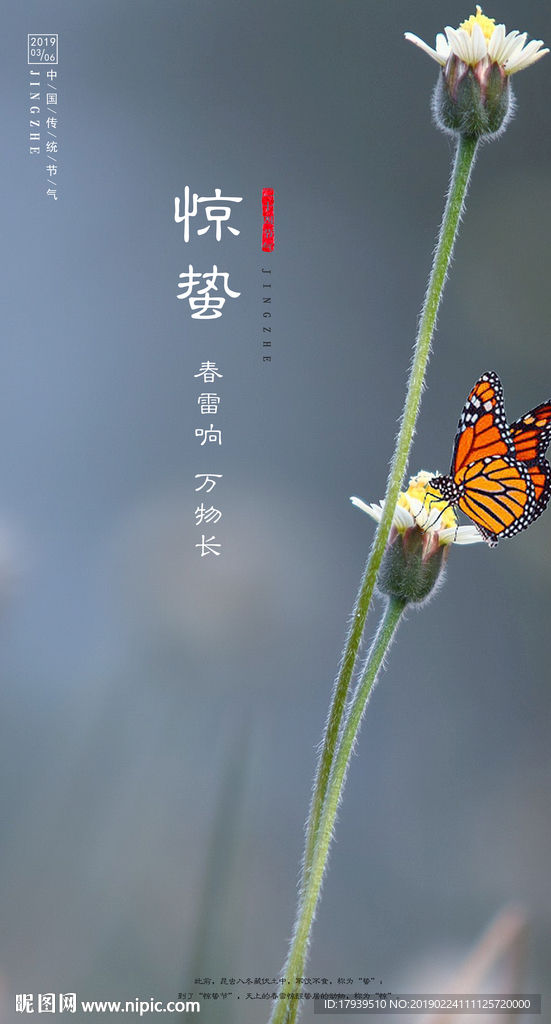 惊蛰