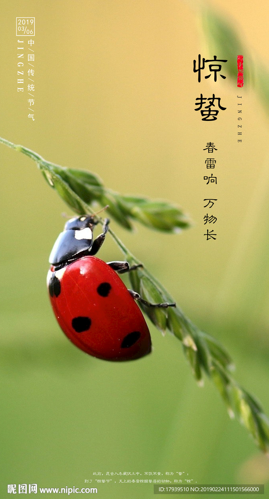惊蛰