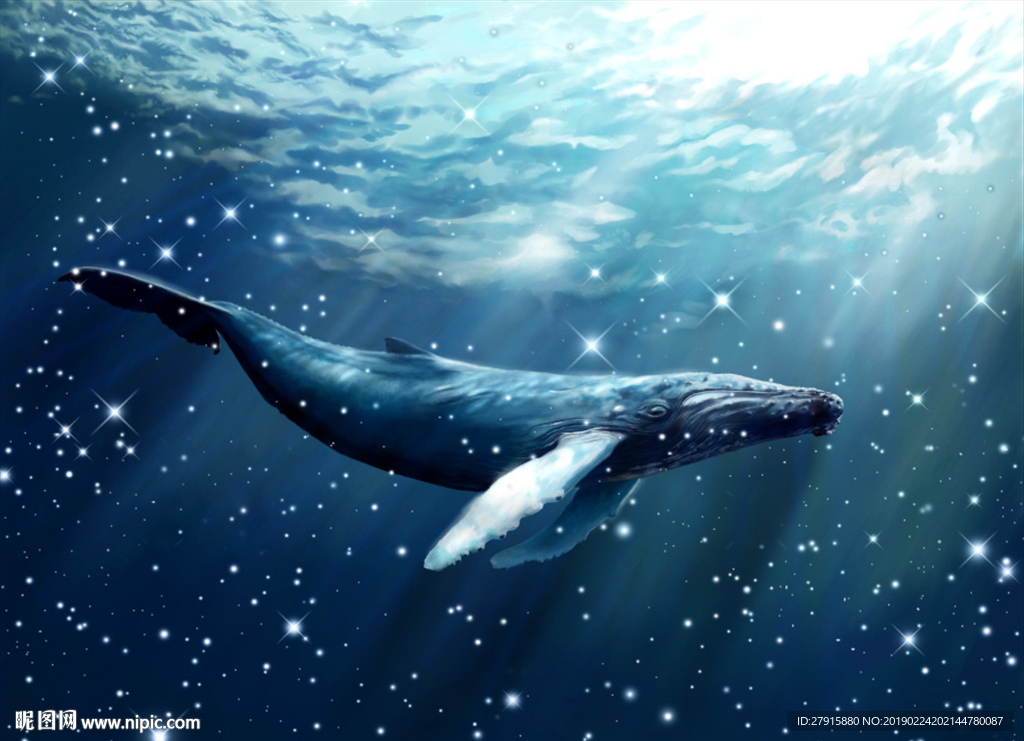 海底世界星光海豚背景墙