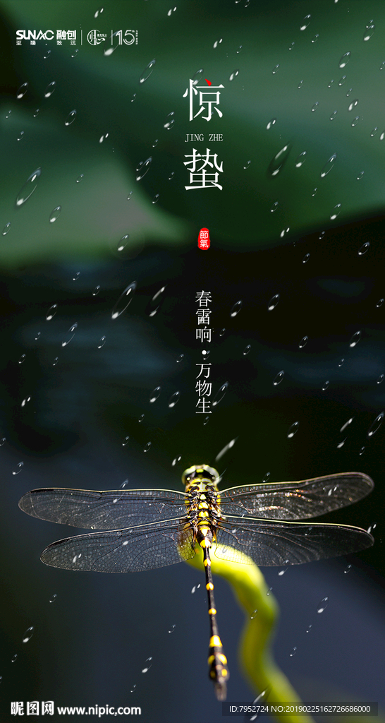 惊蛰节气