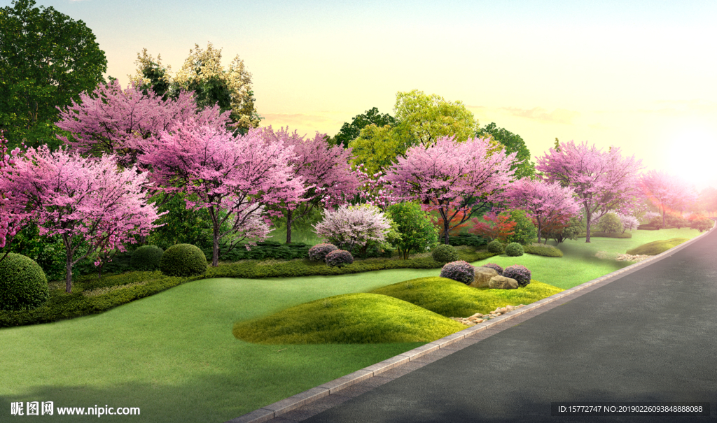 公路草地樱花绿化效果图