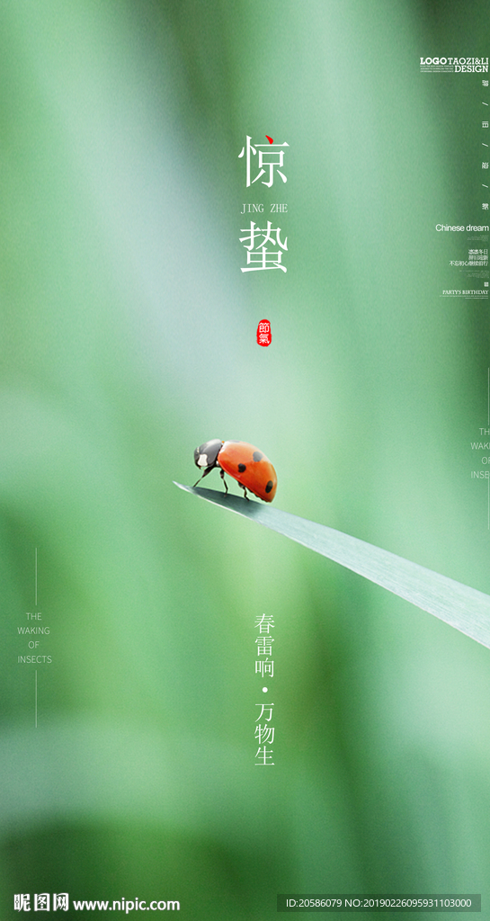 惊蛰海报 惊蛰 惊蛰节气 惊蛰