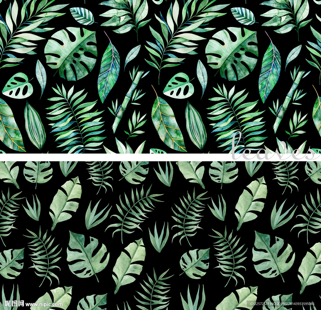 叶子 树叶 花叶 春天