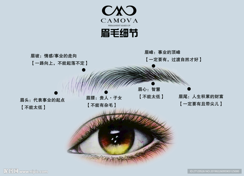 眉毛细节介绍