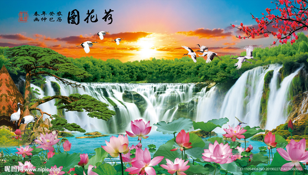 荷花