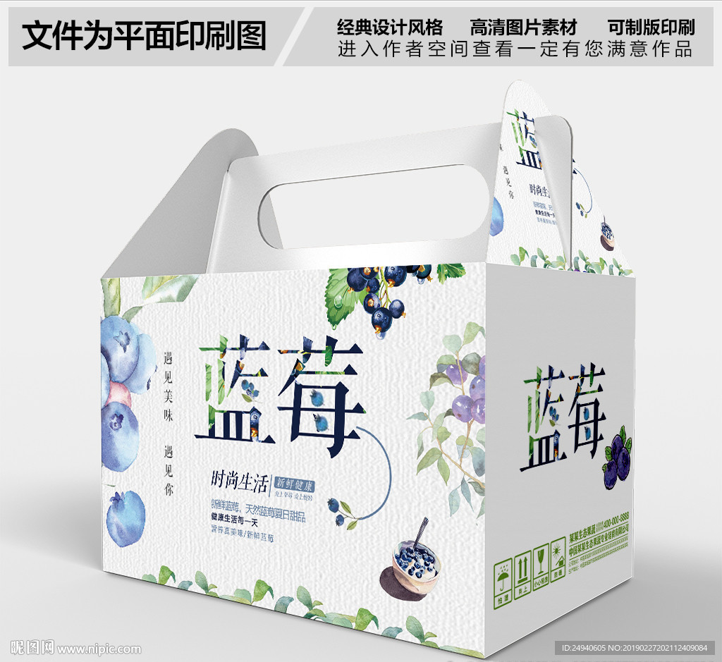 大气简约蓝莓包装设计