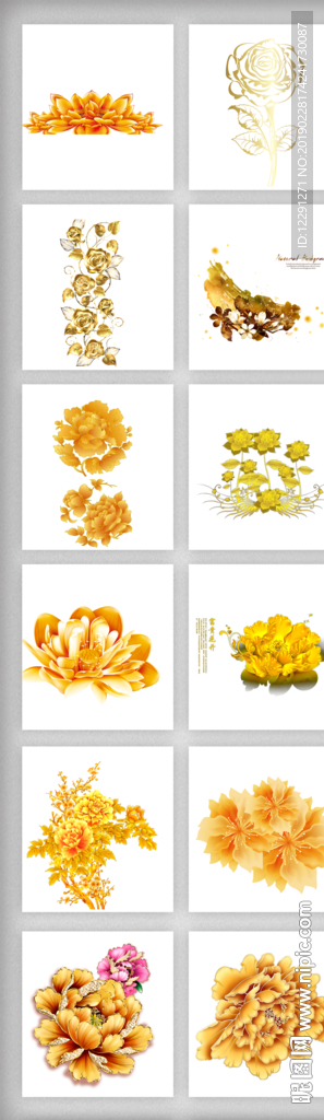金色花卉花图片