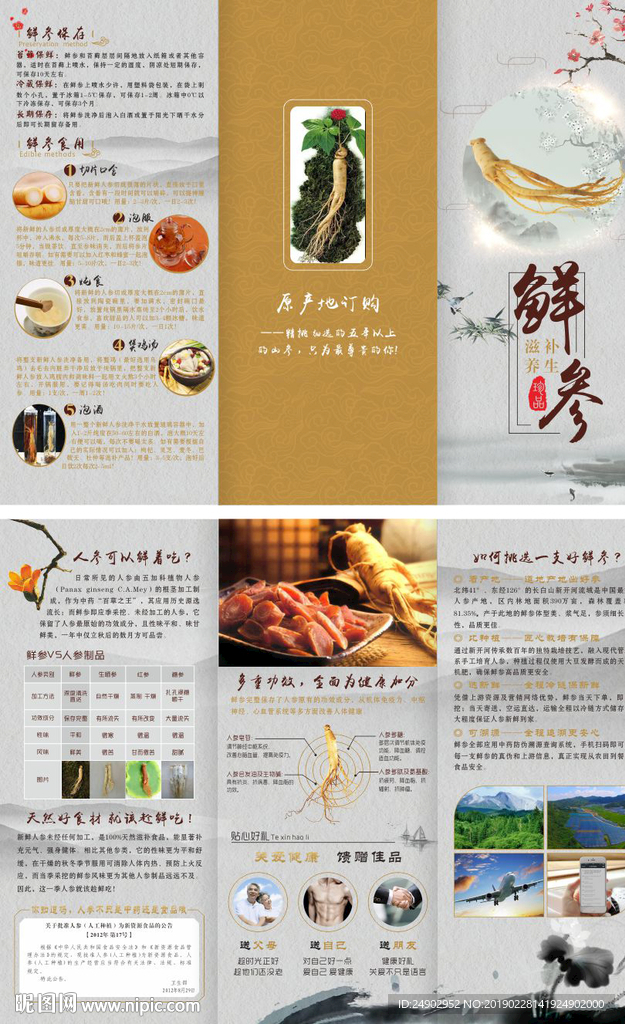 人参三折页
