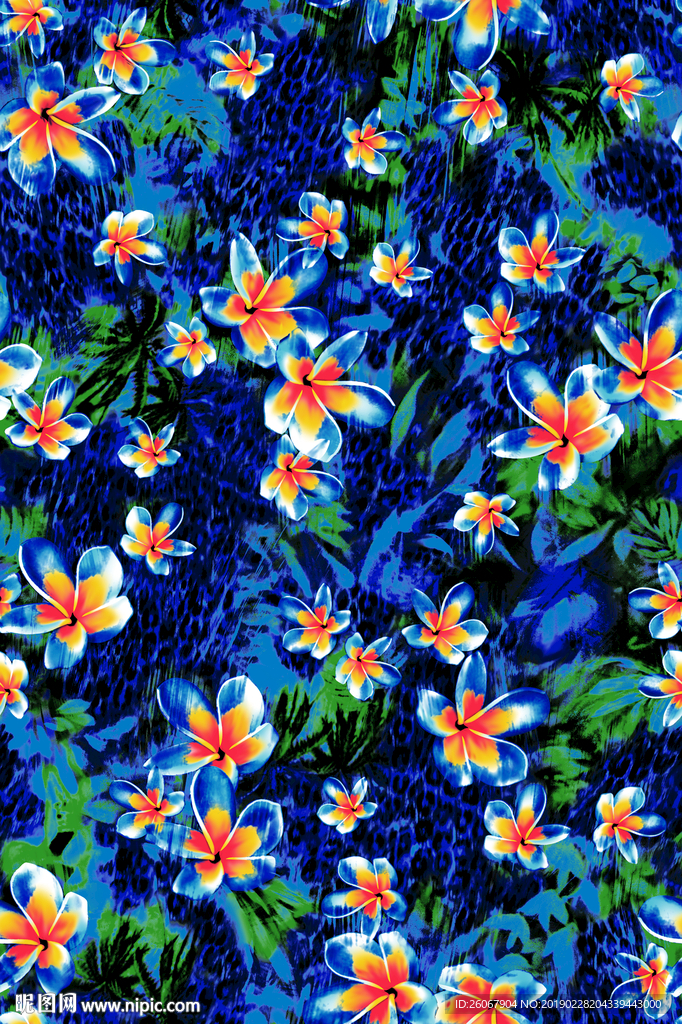 女装数码花