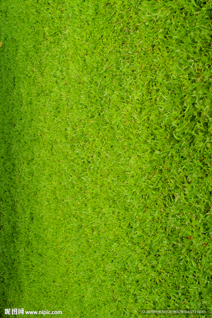 绿色草地