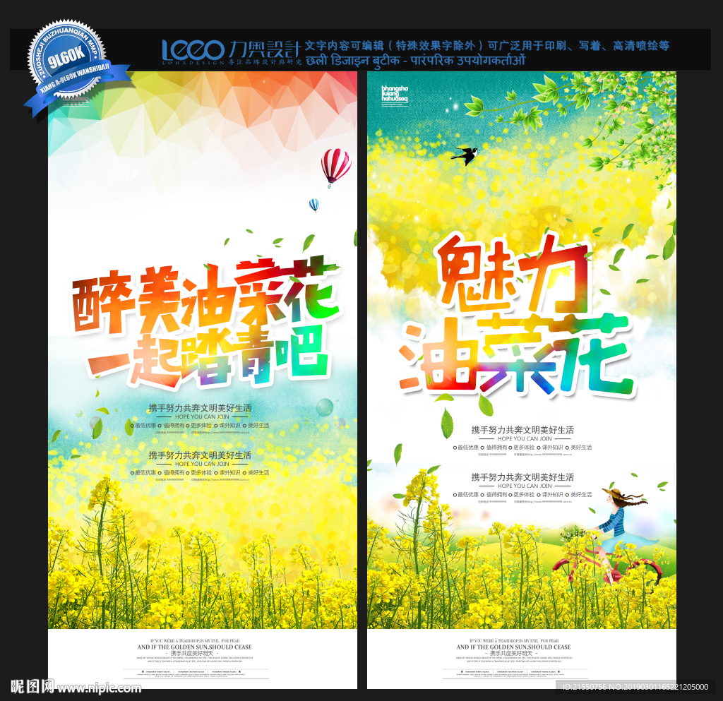 油菜花