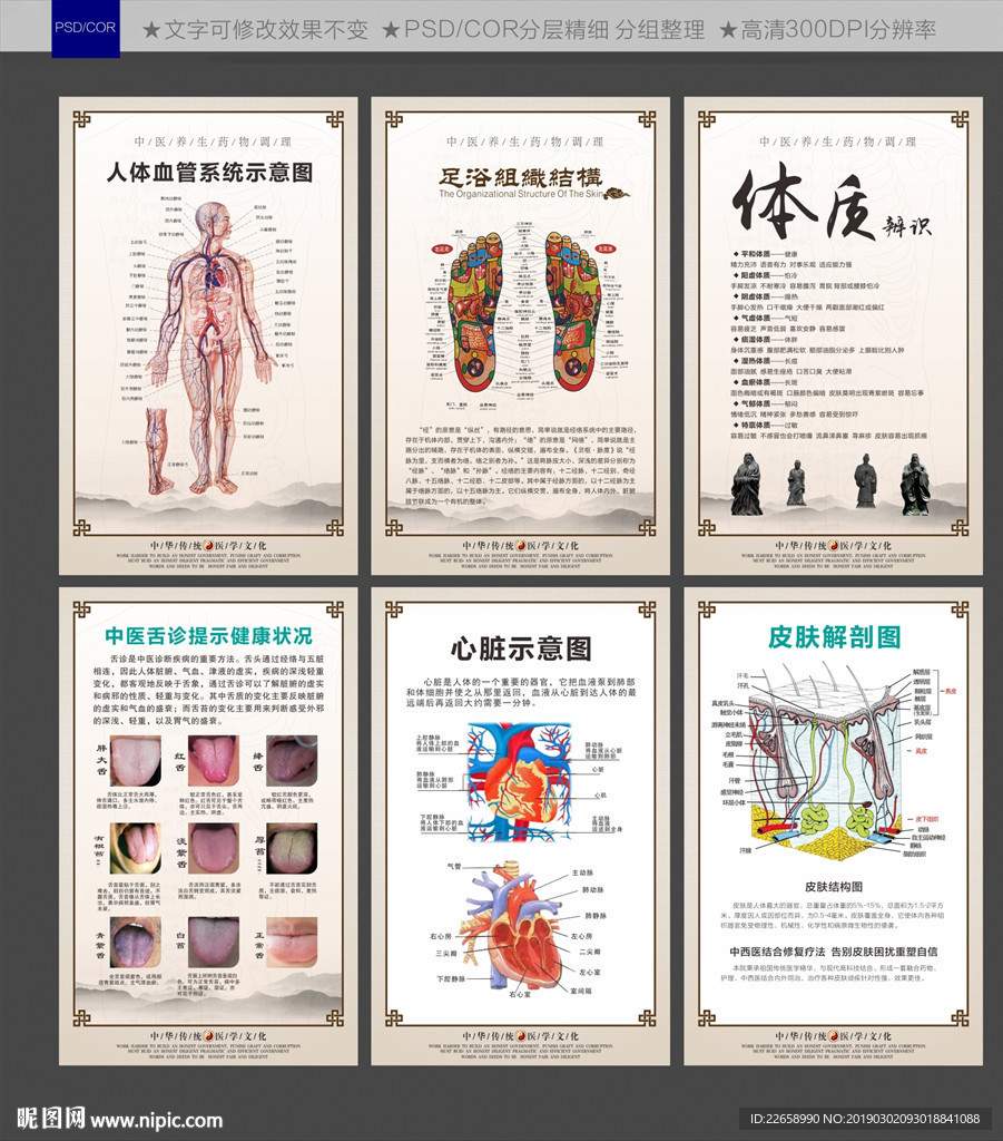 中医文化 组织图