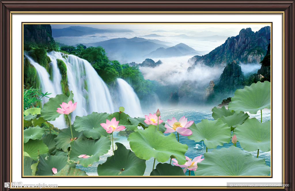 风景如画 荷花