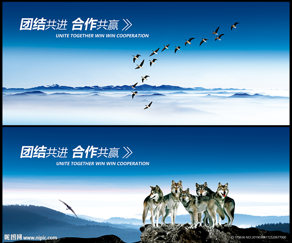 团队合作
