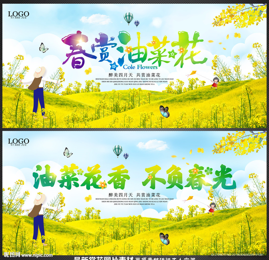 油菜花