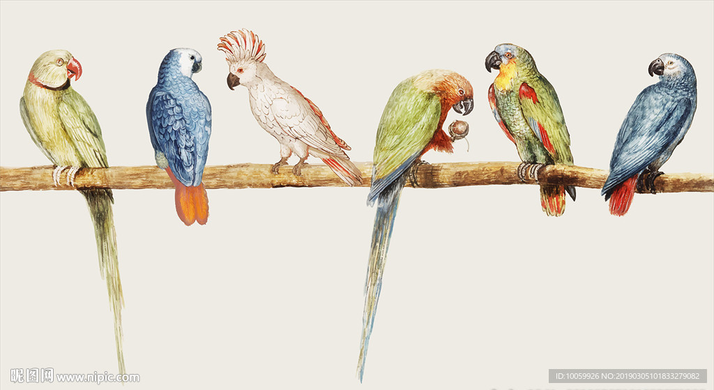 油画水彩水墨动物画像啄木鸟中国