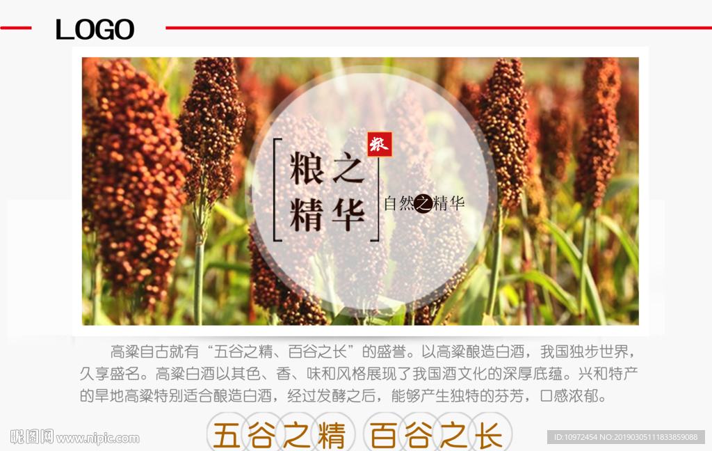 高粱