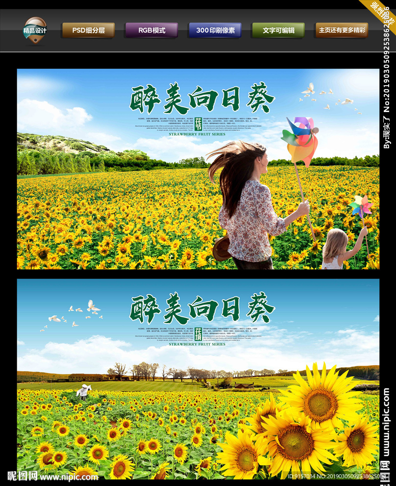 向日葵