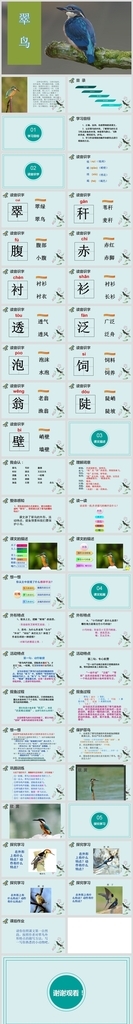 小学语文课文《翠鸟》教育教学