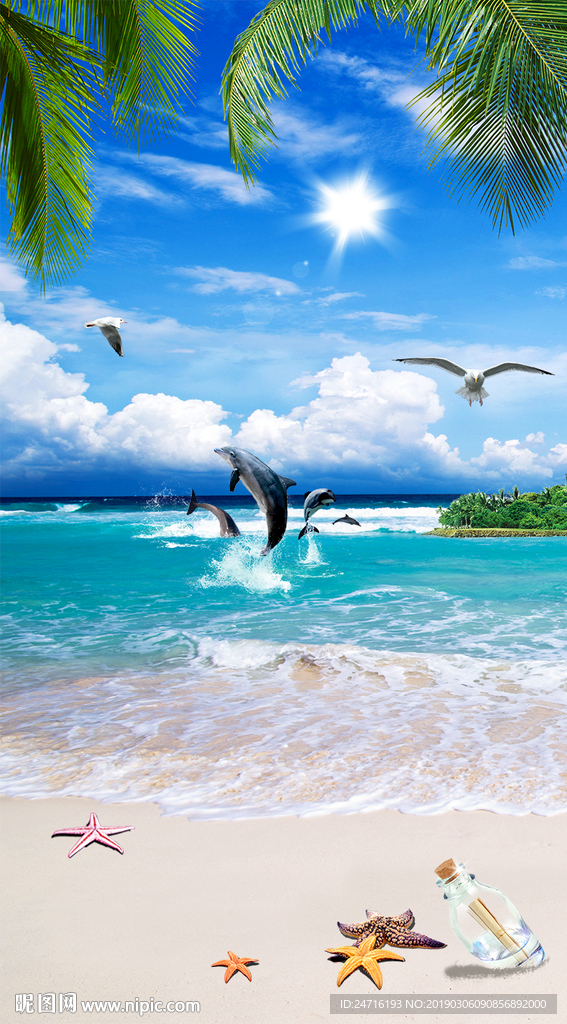 海豚
