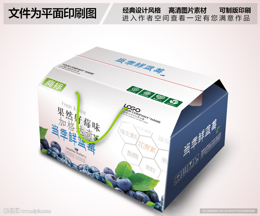 当季蓝莓包装箱设计