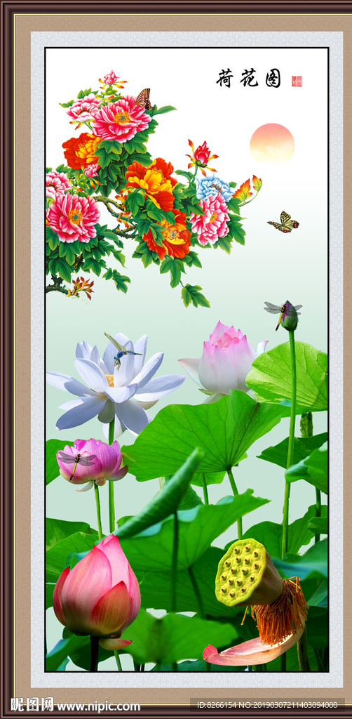 荷花图