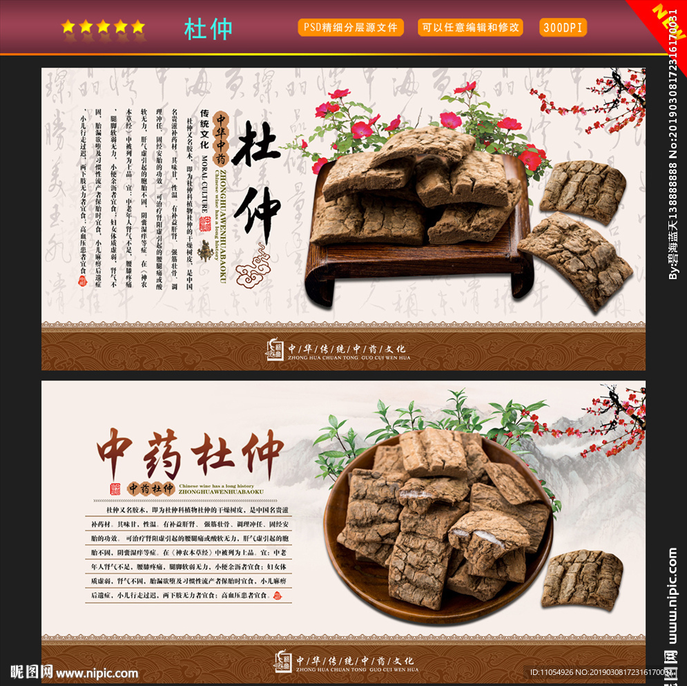 杜仲