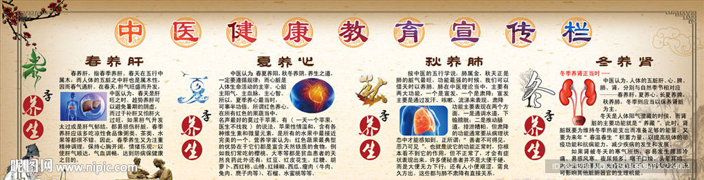 中医养生健康宣传栏